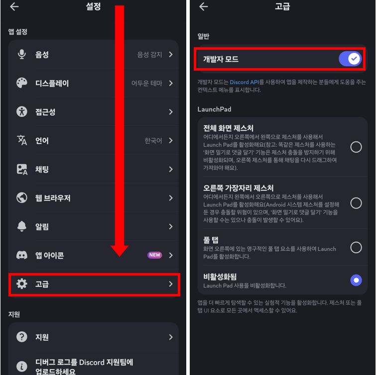 디스코드 고급 설정 개발자 아이디 켜기